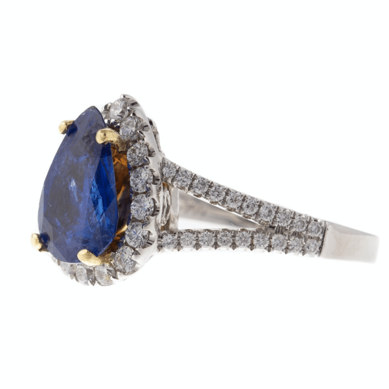 Screen Shot 2021-03-30 at 9.50.42 AM