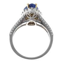 Screen Shot 2021-03-30 at 9.50.54 AM