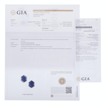 Screen Shot 2021-03-30 at 9.54.39 AM-1