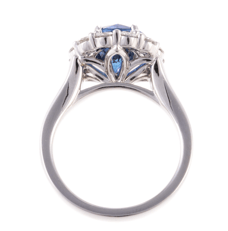 Screen Shot 2021-03-30 at 9.59.04 AM